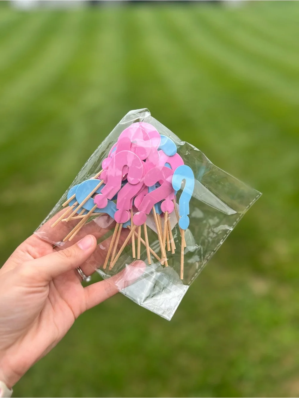 Gender Reveal Stickers & Cupcake Sticks Team Boy & Team Girl